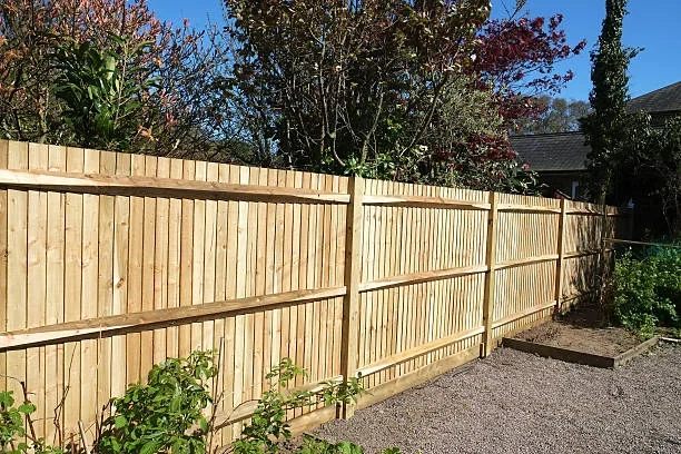 New timber fence enclosing an Auckland garden